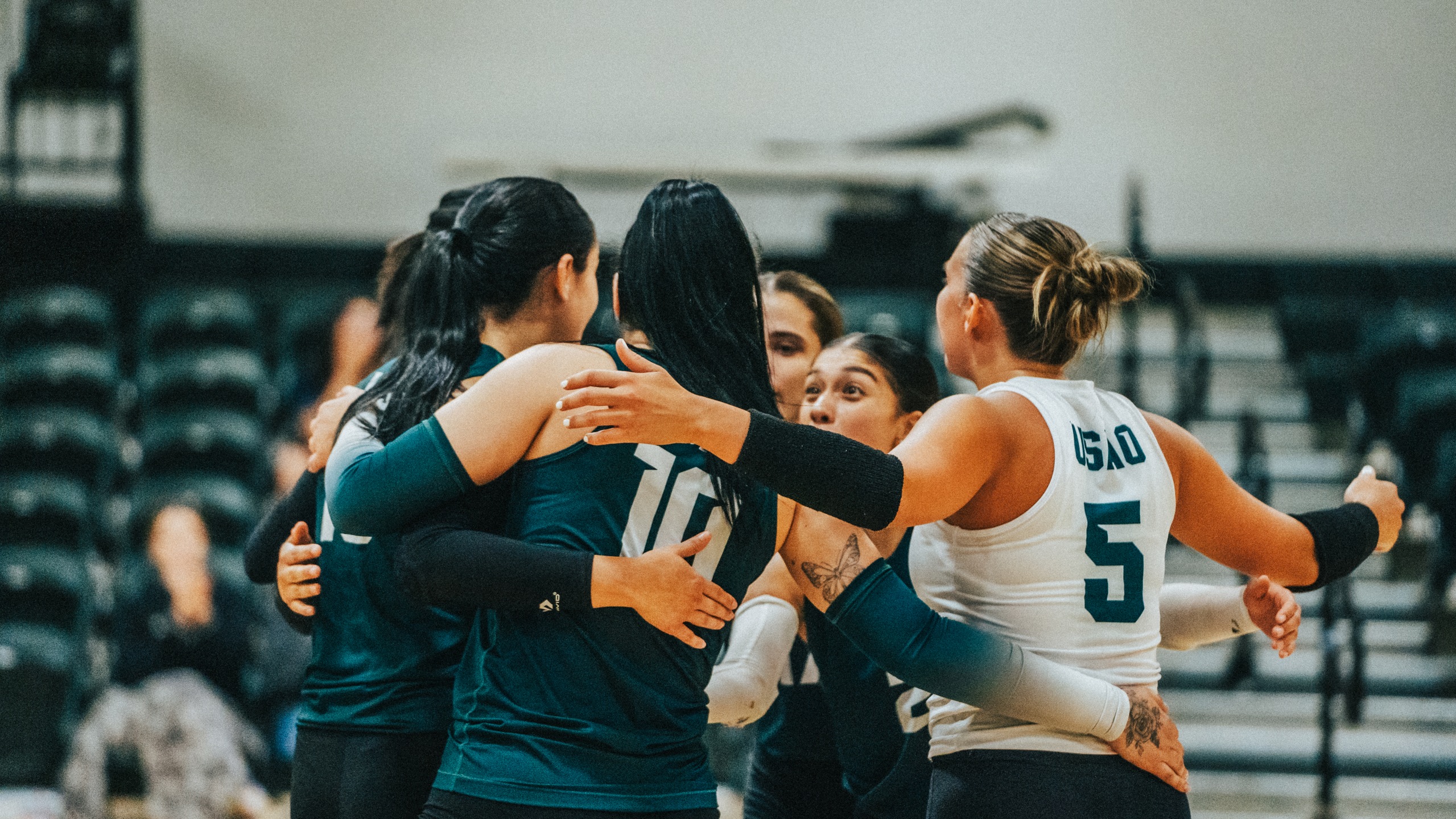 volleyball team huddles after a point is scored